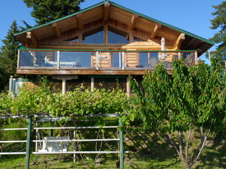 Sand Dollar Log Cabin grape vine